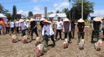 Kapolres Simalungun dan Wakil Bupati Tanam Jagung Bersama, Dukung Ketahanan Pangan Indonesia